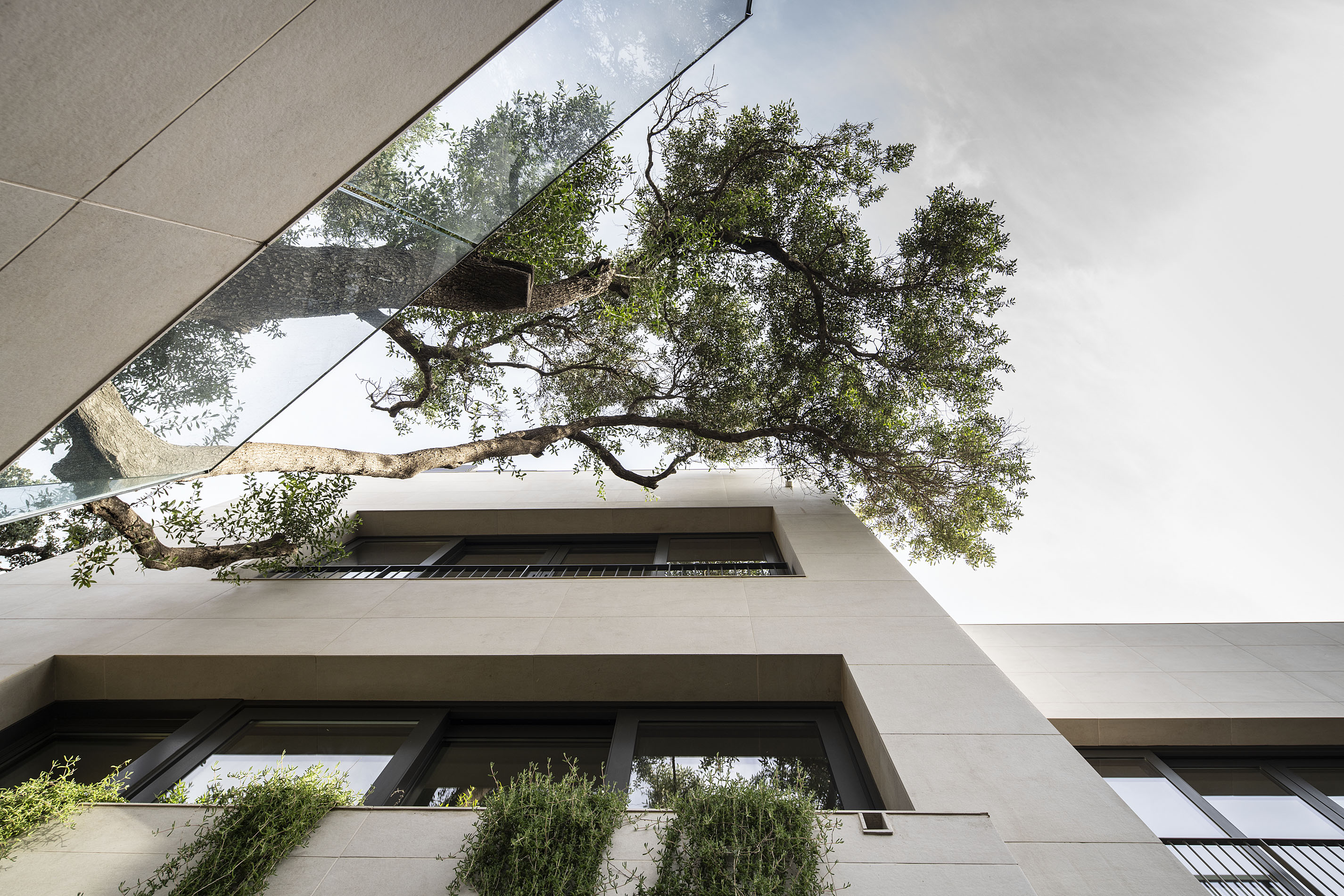 Premiado 2025 - ATELIER: AZO Arquitectos
Project: North Gorge
 
